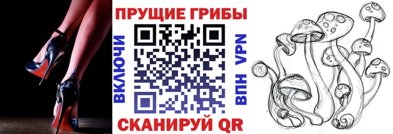 Галлюциногенные грибы мицелий  сколько стоит  Вязники 